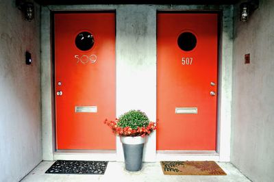 Red potted plant on door