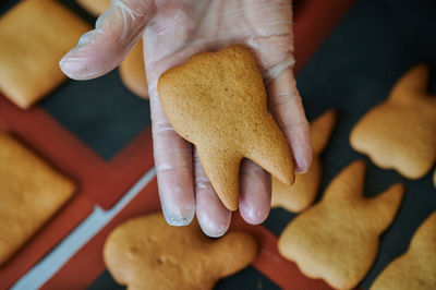 Close-up of hand holding heart shape