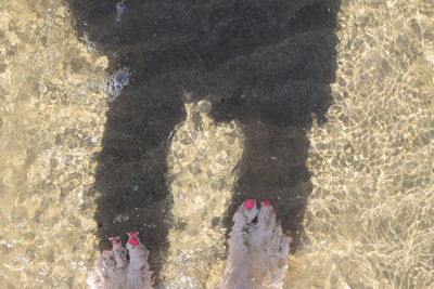 Low section of woman in swimming pool