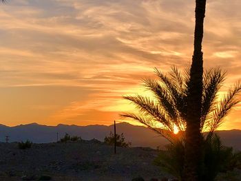 Silhouette trees on landscape against sky during sunset