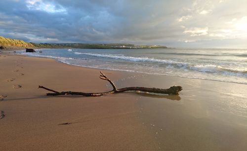 Scenic view of beach against cloudy sky