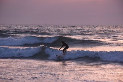 Silhouette of people surfing in sea