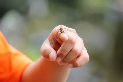 Close-up of hand holding ladybug