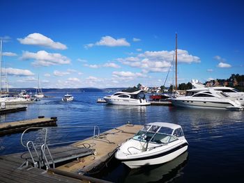 Sailboats moored in harbor