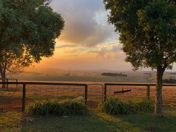 Scenic view of field against sky during sunset