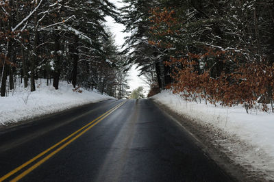 Empty road amidst frozen trees during winter
