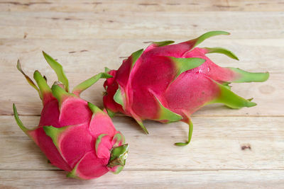 Close-up of pink flowers on table