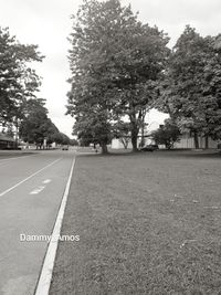 Road amidst trees and city against sky