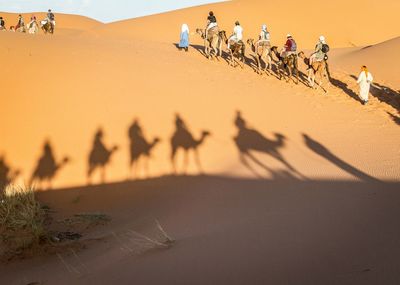 Scenic view of desert