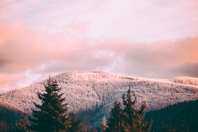 Scenic view of tree mountains against sky