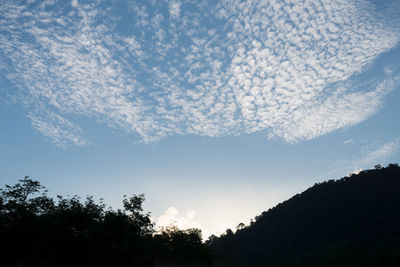 Low angle view of silhouette trees against sky