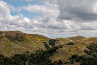 Scenic view of landscape against sky