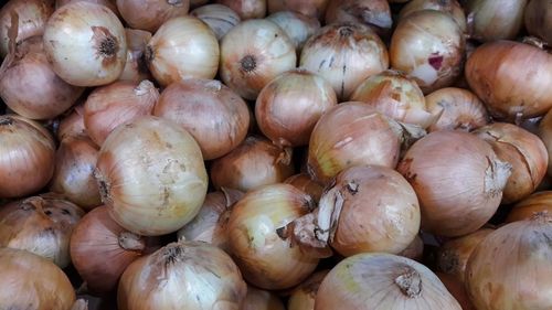 Onions on shelves that are on sale in the market.