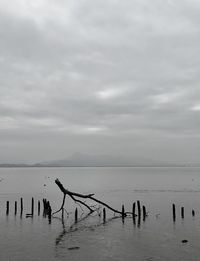 Silhouette people on wooden post by sea against sky