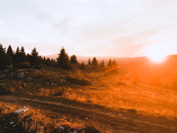 Scenic view of landscape against sky during sunset