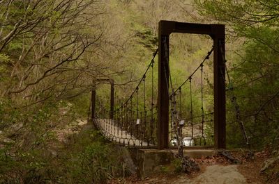 Abandoned bridge amidst trees in forest