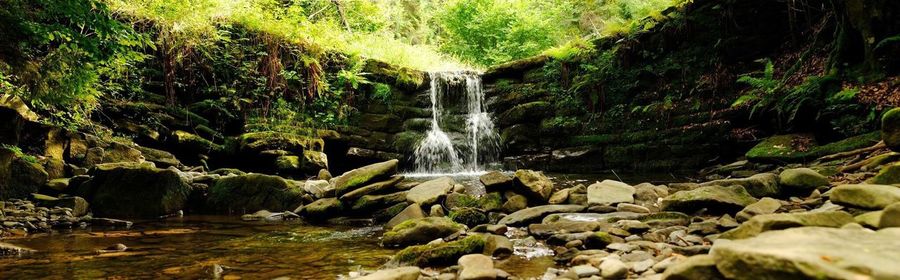 Stream flowing through rocks in forest