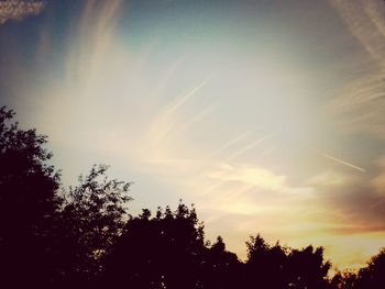 Silhouette of trees against sky at sunset