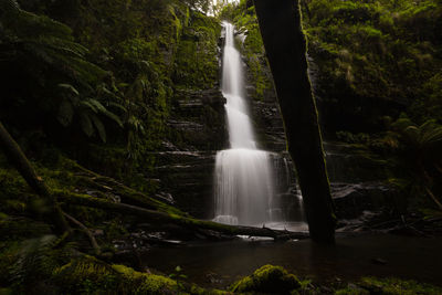 Low angle view of waterfall in forest