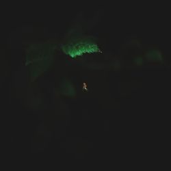 High angle view of illuminated lights in darkroom