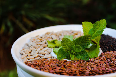 Close-up of seeds on a plate served on a table outdoors