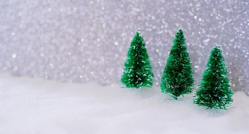 Christmas tree on snow