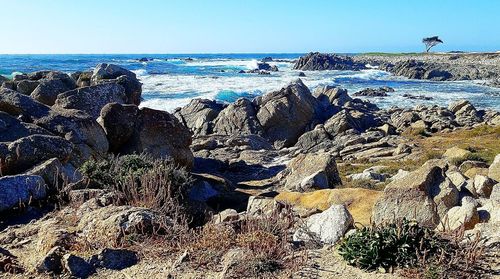 Scenic view of sea against clear sky