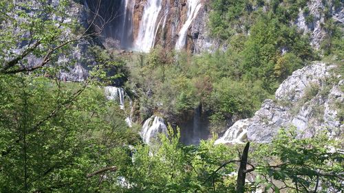 Waterfall in forest