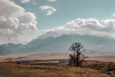 Scenic view of field against sky