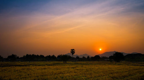 Scenic view of field against sky during sunset