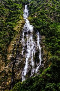 View of waterfall in forest