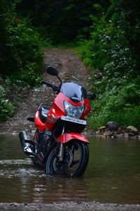 Motorcycle riding bicycle on riverbank