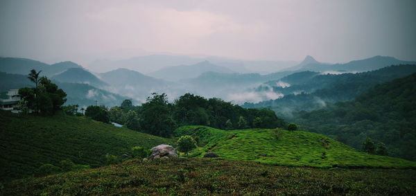 Scenic view of agricultural field and mountains against sky