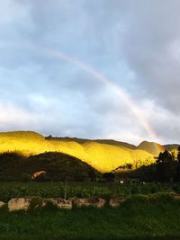 Scenic view of landscape against sky