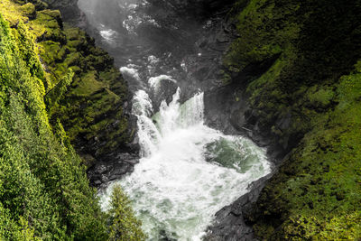 Scenic view of waterfall in forest