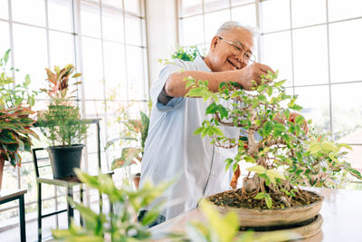 Portrait of man holding potted plant