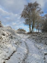 Bare trees on snow covered land against sky