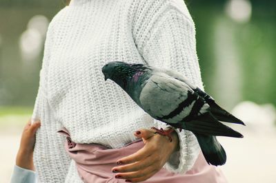 Midsection of woman holding bird