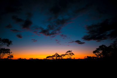 Silhouette of trees at sunset