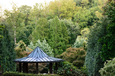 Gazebo amidst trees