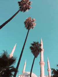 Low angle view of mosque by palm trees against clear blue sky