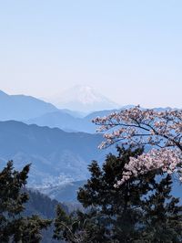 Scenic view of snowcapped mountains against clear sky