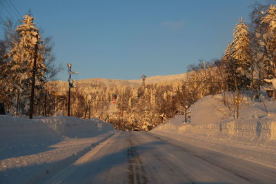 Scenic view of snow covered trees against sky