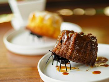 Close-up of dessert in plate on table