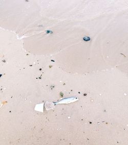 View of sandy beach