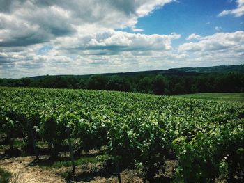 Scenic view of field against cloudy sky