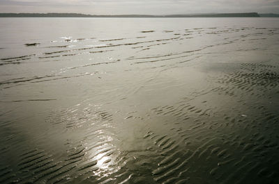 High angle view of wet beach