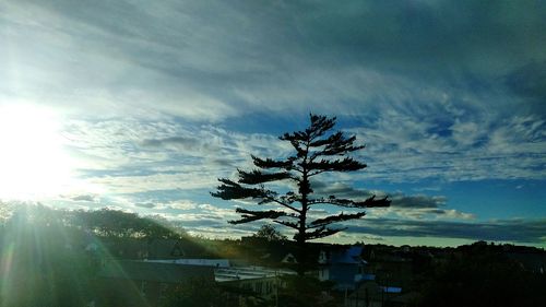 Silhouette tree on landscape against sky