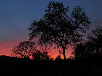 Low angle view of silhouette trees against sky at sunset