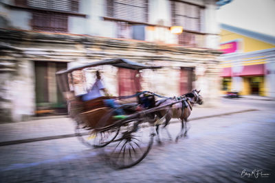 Blurred motion of horse riding on street in city